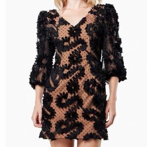 Elliatt 3D Ribbon Rosette Sheer Illusion Puff Sleeve Mini Dress S